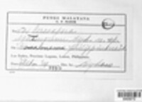 Cercospora extremorum image